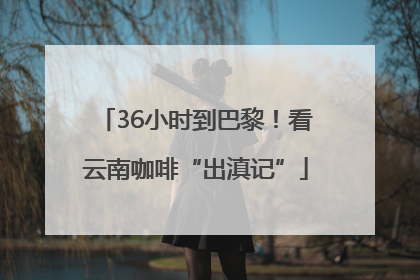 36小时到巴黎！看云南咖啡“出滇记”