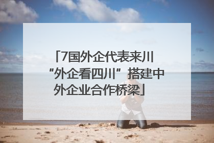 7国外企代表来川 “外企看四川”搭建中外企业合作桥梁