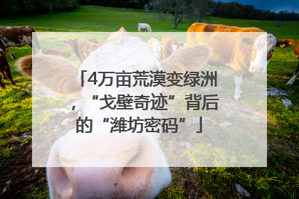 4万亩荒漠变绿洲，“戈壁奇迹”背后的“潍坊密码”