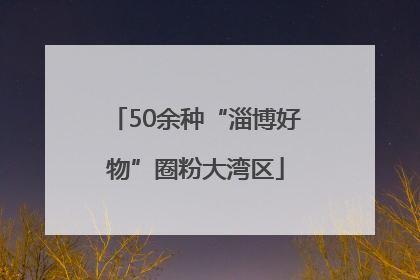 50余种“淄博好物”圈粉大湾区