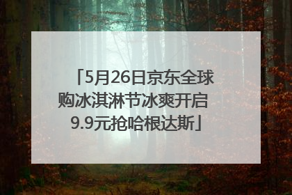 5月26日京东全球购冰淇淋节冰爽开启 9.9元抢哈根达斯