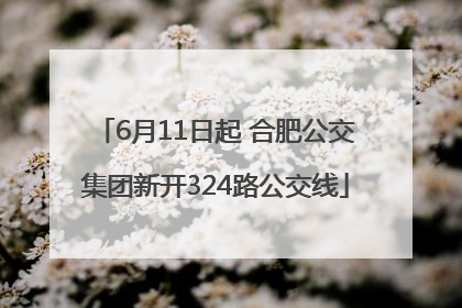 6月11日起 合肥公交集团新开324路公交线