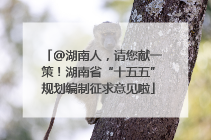 @湖南人，请您献一策！湖南省“十五五”规划编制征求意见啦
