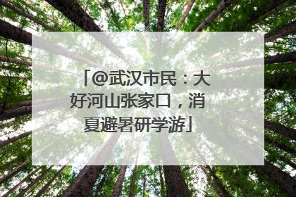 @武汉市民：大好河山张家口，消夏避暑研学游
