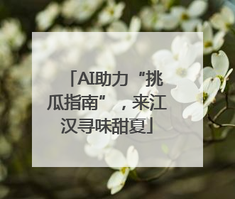 AI助力“挑瓜指南”，来江汉寻味甜夏