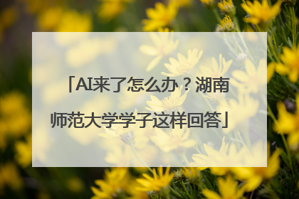 AI来了怎么办？湖南师范大学学子这样回答