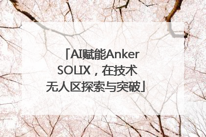 AI赋能Anker SOLIX，在技术无人区探索与突破