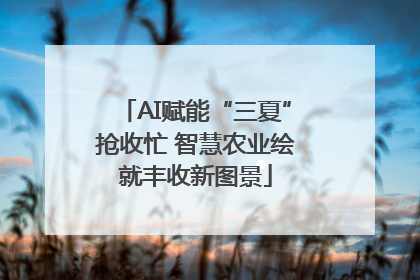 AI赋能“三夏”抢收忙 智慧农业绘就丰收新图景