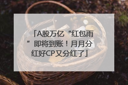 A股万亿“红包雨”即将到账！月月分红好CP又分红了