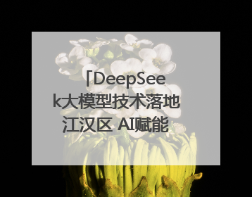 DeepSeek大模型技术落地江汉区 AI赋能智慧政务