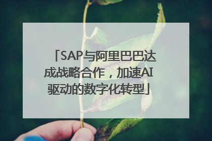SAP与阿里巴巴达成战略合作，加速AI驱动的数字化转型