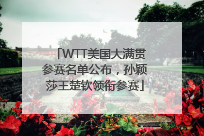 WTT美国大满贯参赛名单公布，孙颖莎王楚钦领衔参赛